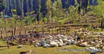 Panchayat representatives discuss Forest Rights Act - The Northlines