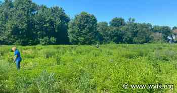 East Moline Approves Sale of Land for Forest Preserve - WVIK