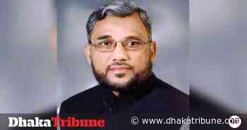 Minister: Forest department failed to protect wild elephants - Dhaka Tribune