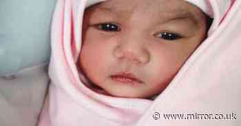 Newborn baby found alive in forest with worms and insects crawling all over her - The Mirror