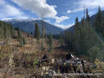Revelstoke Community Forest Corporation: Winter Operations Plans on TFL 56 - Revelstoke Review