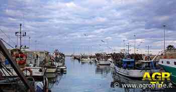 Fiumicino, pescherecci in porto, nel 2022 i giorni di fermo nella pesca saranno 190 - AGR online