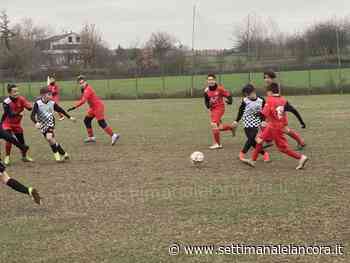 Calcio giovanile leva 2010: Acqui batte Boys con un gran primo tempo - Settimanale LAncora - L'Ancora