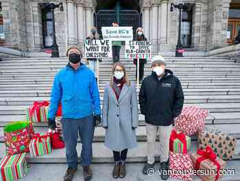 Province needs to put up money to back big old-growth promises: Activists