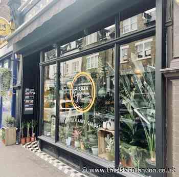 Dreaming of a tropical Christmas?, Jemima Hughes - Jarvis, Notting Hill & Ealing High School - This is Local London