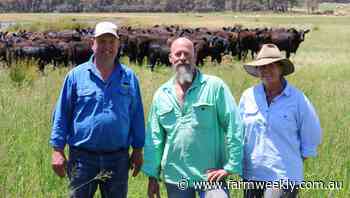 Tomasi Angus playing for keeps - Farm Weekly