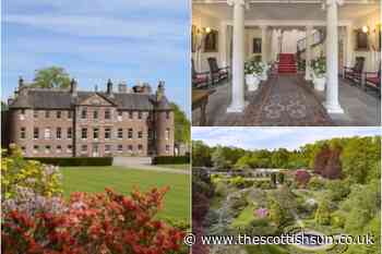 Stunning 16-bedroom Angus castle complete with 5 cottages and walled garden hits the market for £3million... - The Scottish Sun