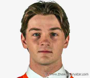 Cubs add veteran forward in trade with Hearst - The Sudbury Star