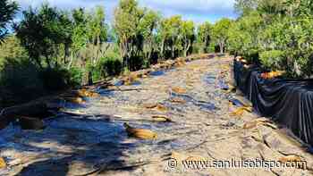 Heavy rains slow repair work on road up to Hearst Castle - San Luis Obispo Tribune