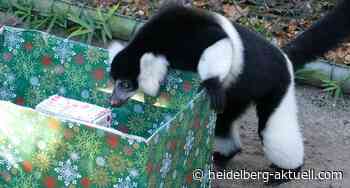 Tierisch gute Geschichten an Heiligabend - Heidelberg aktuell