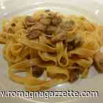 Emilia Romagna. Novità: da dicembre, gli sportelli micologici di Cesena, Forli e Rimini su appuntamento. - Romagna Gazzette