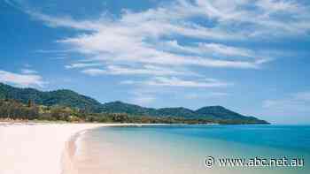 Court fines director $30 million over failed Dunk Island dream