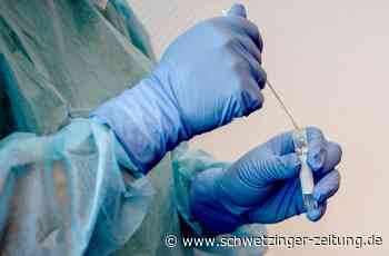 117 Corona-Neuinfektionen in Mannheim - zwei Todesfälle im Rhein-Neckar-Kreis - Deutschland & Welt - Schwetzinger Zeitung