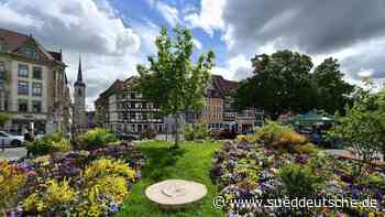 Freizeit - Mannheim - Traditionsunternehmen unterstützen die Buga 23 - Gesellschaft - SZ.de - Süddeutsche Zeitung