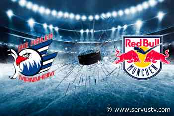 PENNY DEL 2021-2022: Adler Mannheim vs. Red Bull München bei ServusTV Deutschland und im Stream - ServusTV - Servus Hockey Night - EBEL
