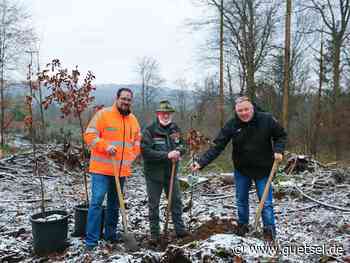 Verl: Drei Haustüren und ein Wald, erfolgreiches Jubiläumsjahr für EGE – Gütsel Online - Gütsel