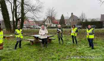 Fruiters Rijsenhout hebben hun boom - HCNieuws