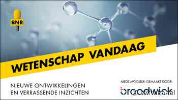 Hoe snel een bacterie een volledige boom besmet - BNR Nieuws