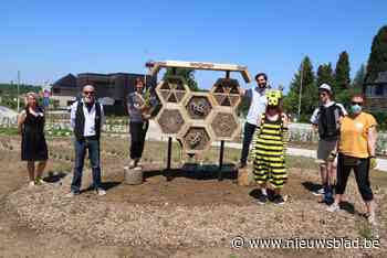 Stad schenkt elke boreling een eigen boom (Diest) - Het Nieuwsblad
