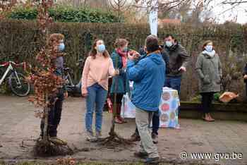 125 bomen verdeeld via project 'Iedere burger een boom' - Gazet van Antwerpen