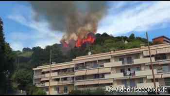 Genova, rogo sulle alture di Voltri - Il Secolo XIX - ilsecoloxix.it