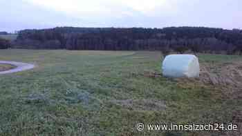 Gemeinderat Unterreit berät über Bürgersolarpark in Bach