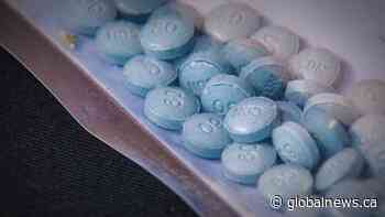 No timeline for Saskatoon drug treatment court 2 years later: government - Globalnews.ca