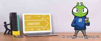 Kennst du schon den wirklichen Hidden Champion unter den Digital-Experience-Plattformen? - - OnlineMarketing.de