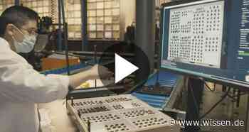 Das Museum der Zukunft - Exponate jetzt digital? - wissen.de