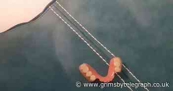 False teeth and pizza among charity shop's strangest donations - Grimsby Live