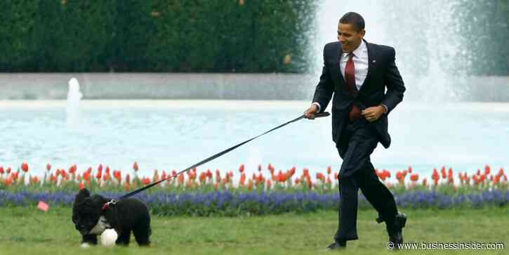 The Bidens just welcomed a new puppy, Commander. Here are 30 photos of some of the most adorable dogs to live in the White House.