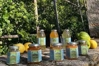 La cooperativa che riscopre Terre & Sapori dell’Alto Garda - Giornale di Brescia