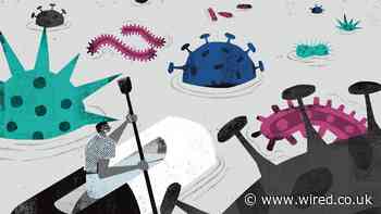 Antibodies Are Being Created to Fight Disease in New Ways