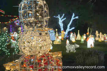 Holiday season lights a bright spot amid pandemic resurgence - Comox Valley Record