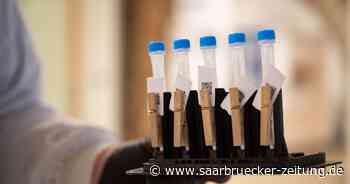 Corona-Zahlen von Freitag in Merzig-Wadern: Landkreis meldet am Freitag 70 neue Corona-Fälle - Saarbrücker Zeitung