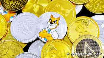 Ethereum Whale Buys 4 Trillion Shiba Inu Crypto Coins, Sends SHIB Value Up by 10 Percent in 24 Hours