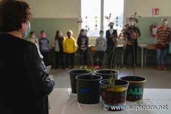 Soliera, progetto di educazione ambientale in classe alla scuola primaria "Menotti" di Limidi - SulPanaro