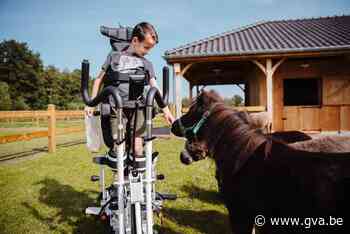 Kerstwandeling in en rond de revalidatieweide (Wuustwezel) - Gazet van Antwerpen