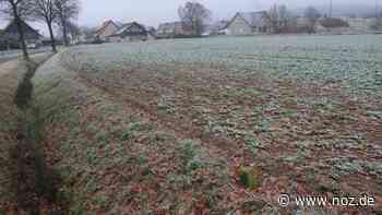 Neue Kita in Bad Essen: Wann sie kommt, wie viele Plätze sie hat - noz.de - Neue Osnabrücker Zeitung