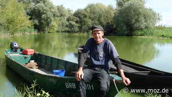 Rezept: Saure Bratplötze - Essen wie die alten Havelländer? So gelingt das Gericht - moz.de