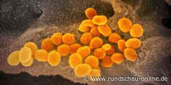 Corona im Kreis Euskirchen: Inzidenz steigt in Blankenheim auf 916,1 - Kölnische Rundschau