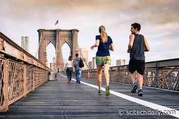 Air Pollution May Reduce the Benefits of Physical Activity on the Brain