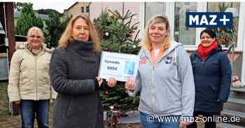 Tierheim und Hospiz Luckenwalde erhalten Spenden von der Firma LGC - Märkische Allgemeine Zeitung