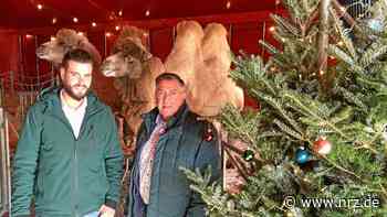 Kalkar: Safari im Winterwunderland bleibt, Kirmes beendet - NRZ