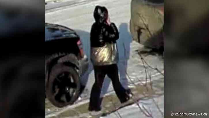 Calgary seniors conned in grandchild in peril scam, suspect collects cash in person