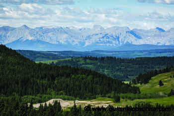 Level playing field? Coal miners, environmentalists wrangle over hearing costs - Quesnel Cariboo Observer