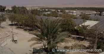 Extinct Tree from Jesus' Time Springs to Life in Israeli Desert