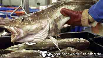 EU und Großbritannien einigen sich auf Fischfangmengen