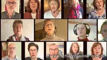 Vereinsaktion in Schramberg - Frohsinn schickt digitale Adventsgrüße statt 1000 Sterne - Schwarzwälder Bote