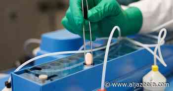 Pfizer COVID-19 pill approved for at-home use by US - Al Jazeera English